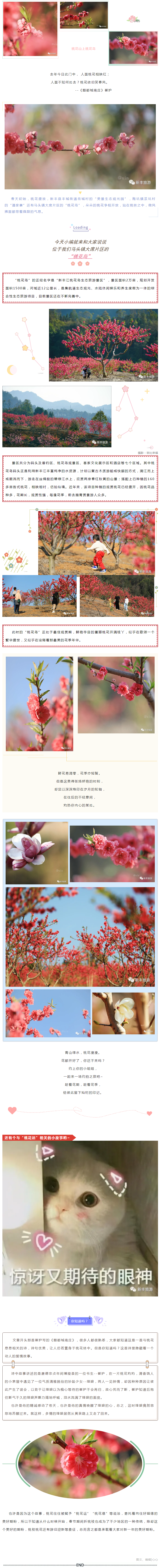 花开正好_快来“桃花岛”撞桃花运吧！.png