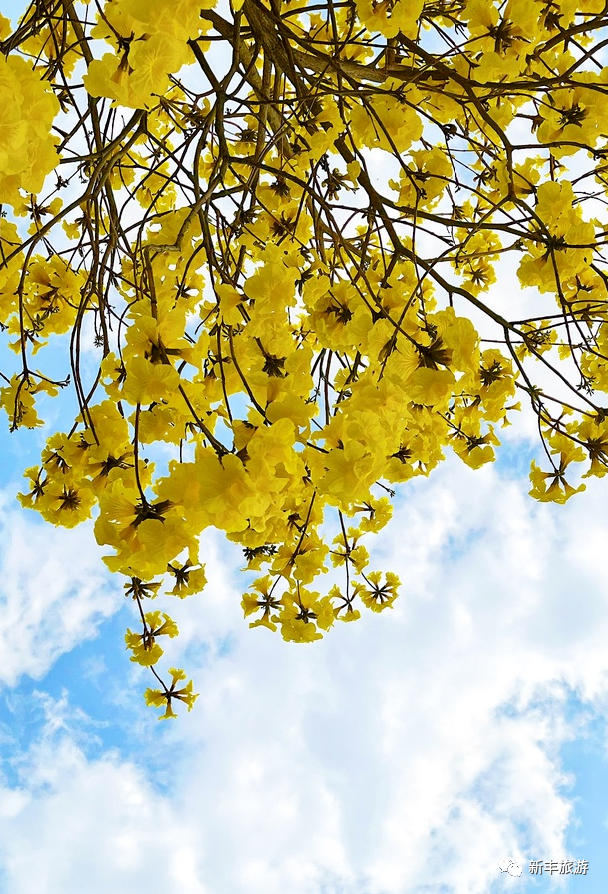 16c13bfe16b7562430721c9420d8a9e.jpg 图片