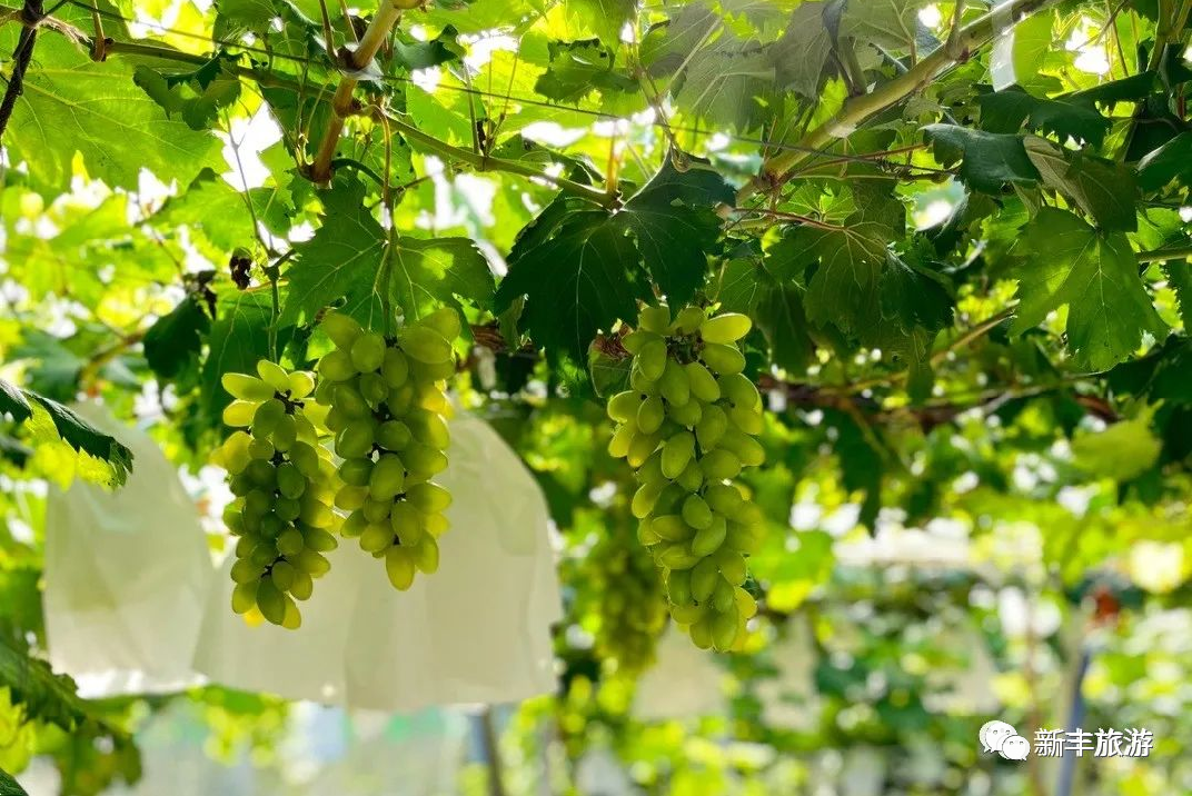 微信图片_202208031533559.jpg 图片